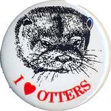 IOSF 'I Love Otters Badge'