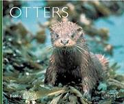 Otters (Bobby Tulloch)