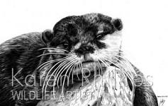 Asian Short-clawed otter card (Karen Phillips)