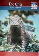 The Otter (Gordon Woodroffe)