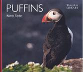 Puffins (Kenny Taylor)