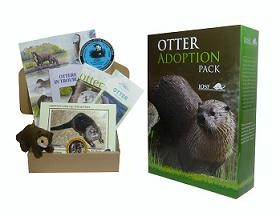 Otter Adoption Gift Box